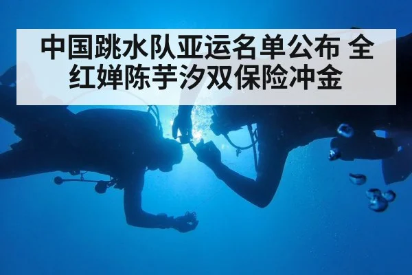 Chinese diving duo